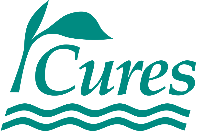 (c) Curesworks.org