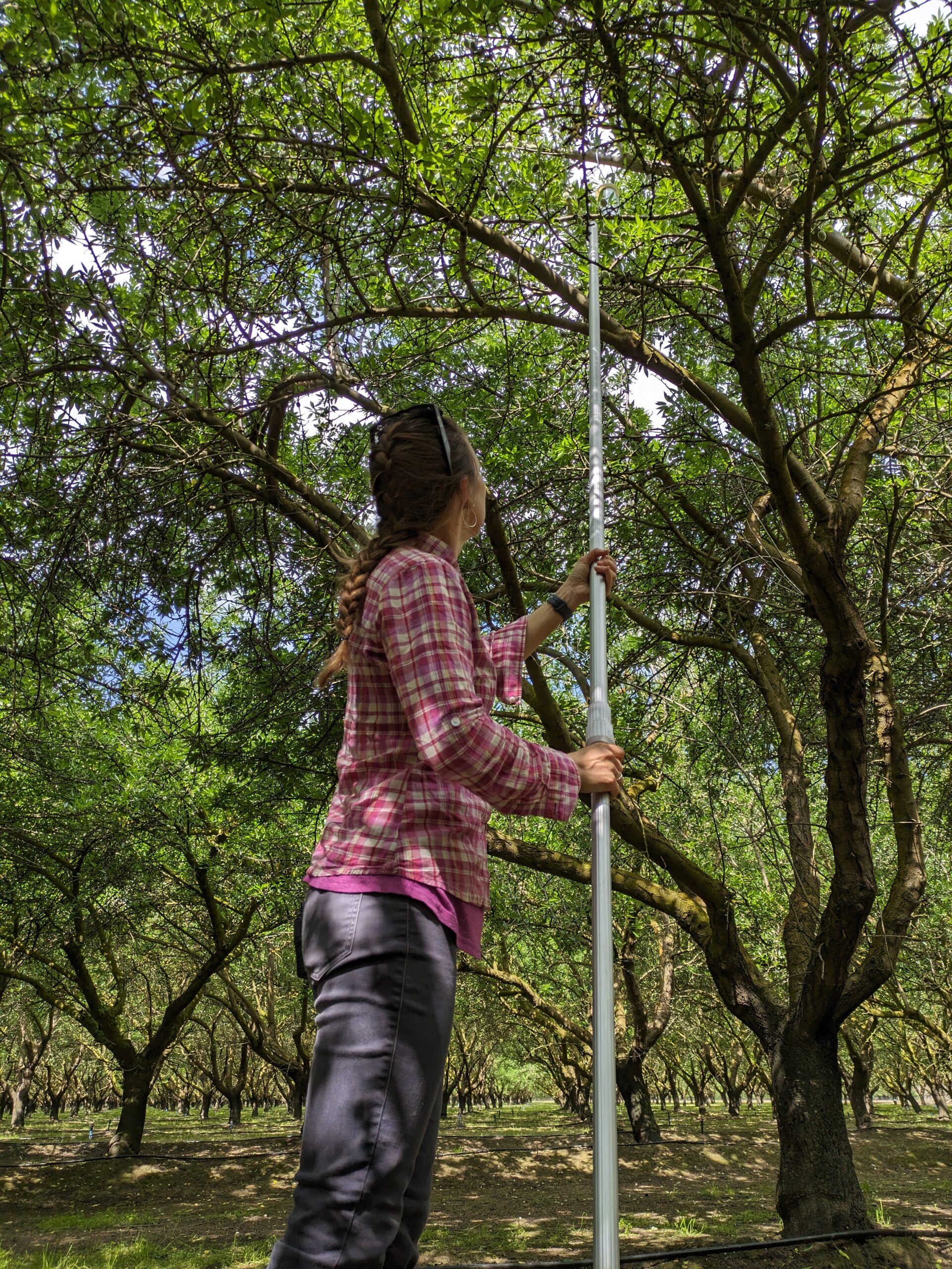 PXL_20240423_175503631