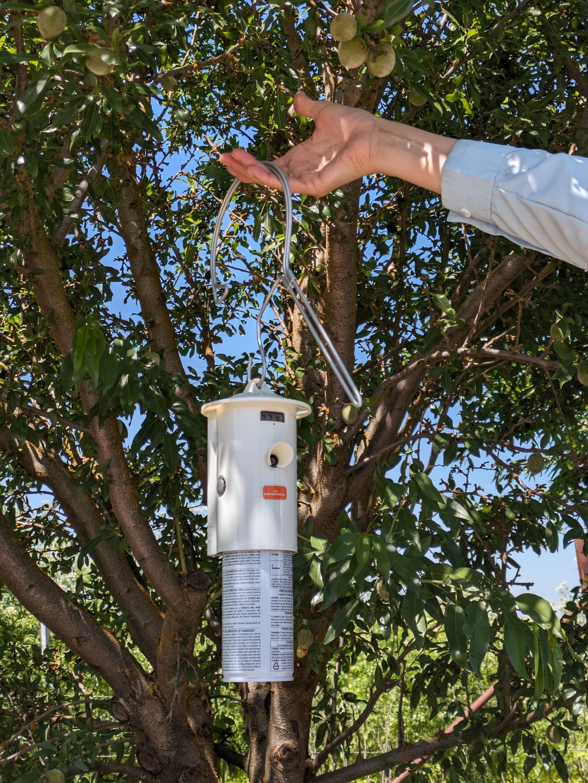 PXL_20240501_191527611 (1)