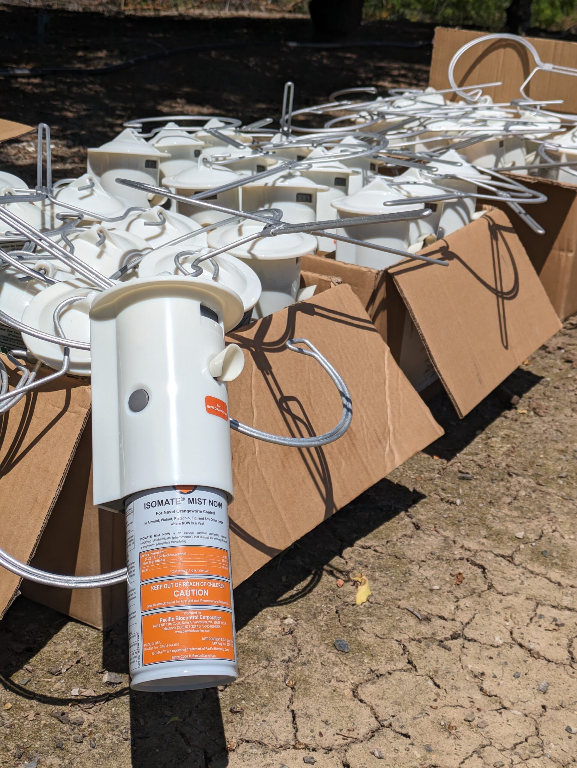 PXL_20240501_191610922