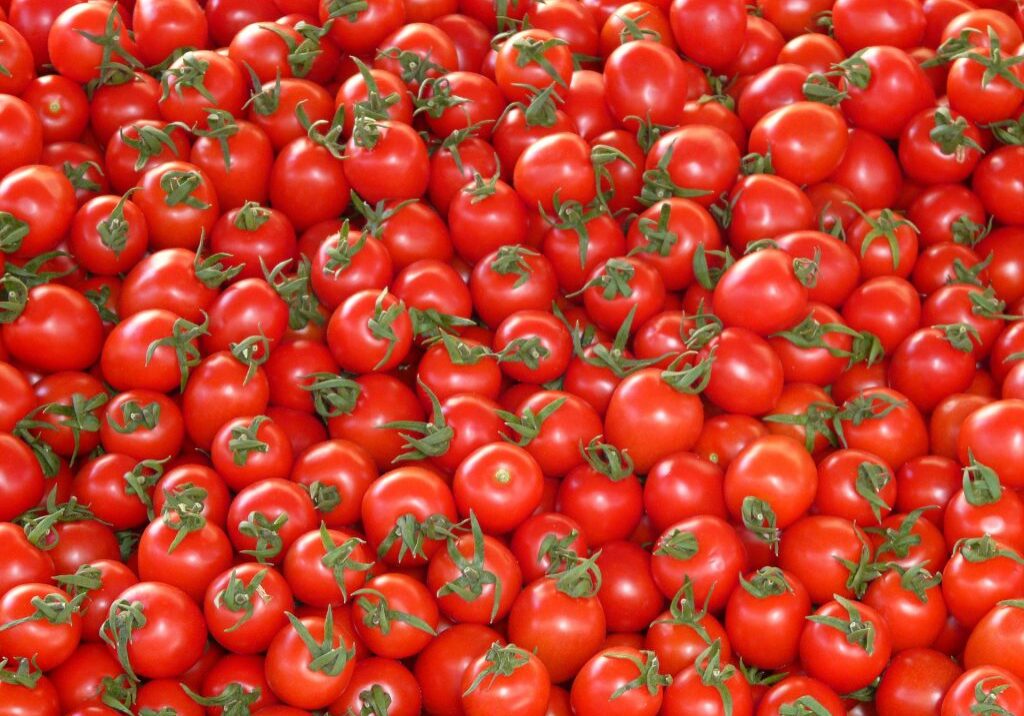 tomatoes-73913_1920